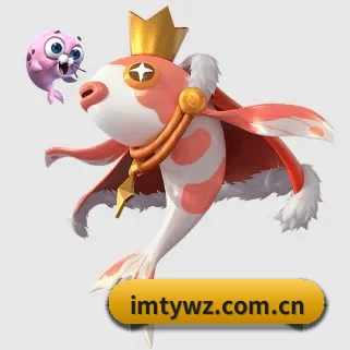 im体育网址 APP